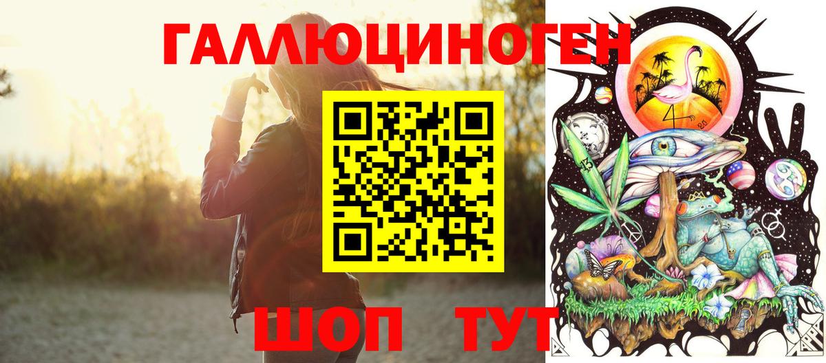 где продают   Вход с VPN  Карасук  Псилоцибиновые грибы Psilocybe 