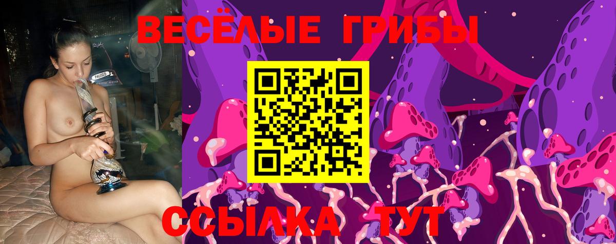 Псилоцибиновые грибы MAGIC MUSHROOMS Карасук